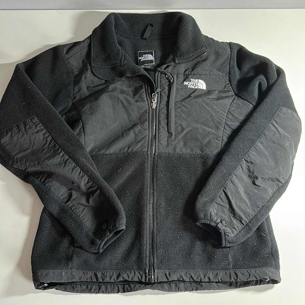 Northface Dinali fleece